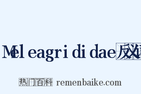 Meleagrididae反义词是什么意思的图片